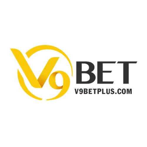 Vbet Com