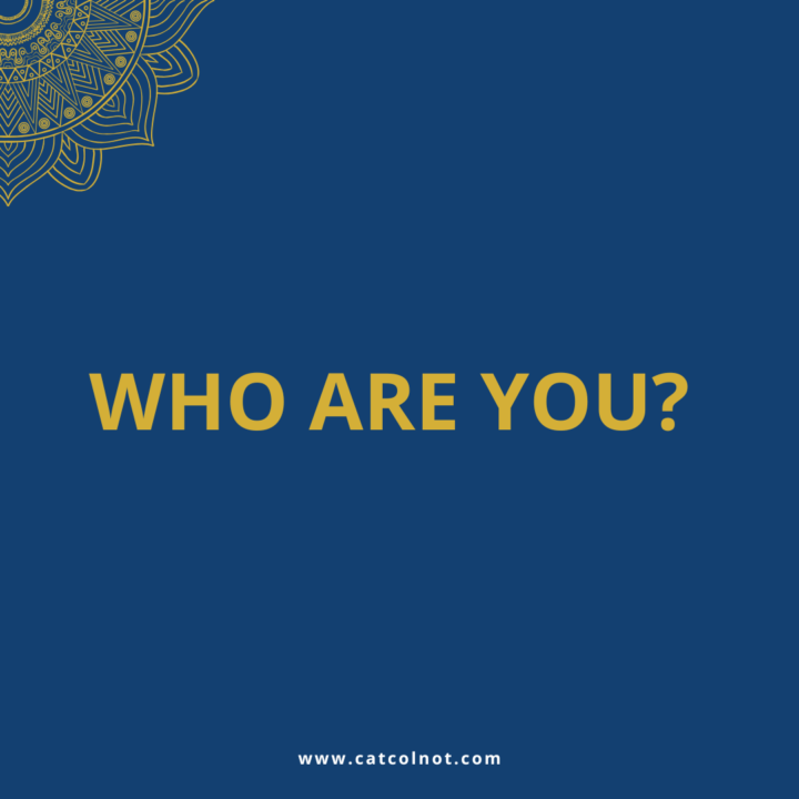 Who are you? 