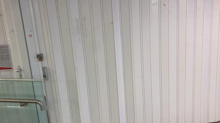 אביאל מולקנדוב