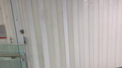 אביאל מולקנדוב