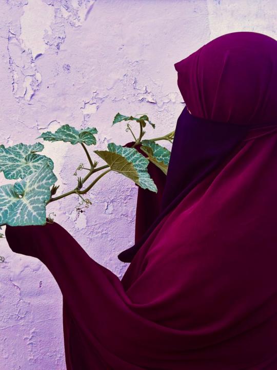 Shafia Masahir
