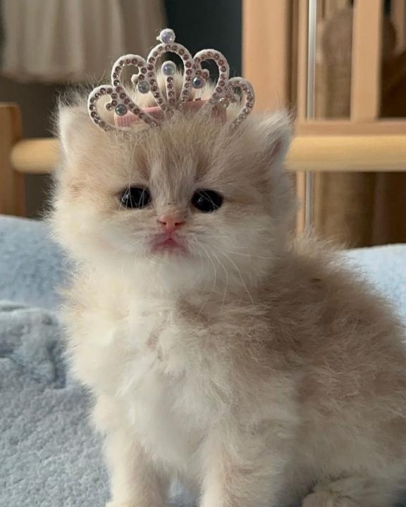 Zeynep sıla Şimşek