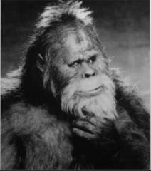 Russell Tait
