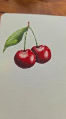 Corinne Sumi