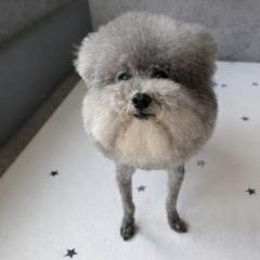 André Calderón Torres