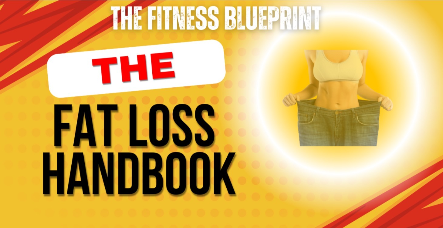 The Fat Loss Handbook