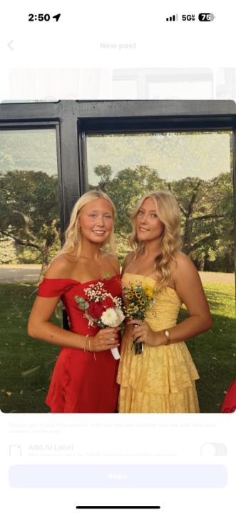 Emersen Belsaas