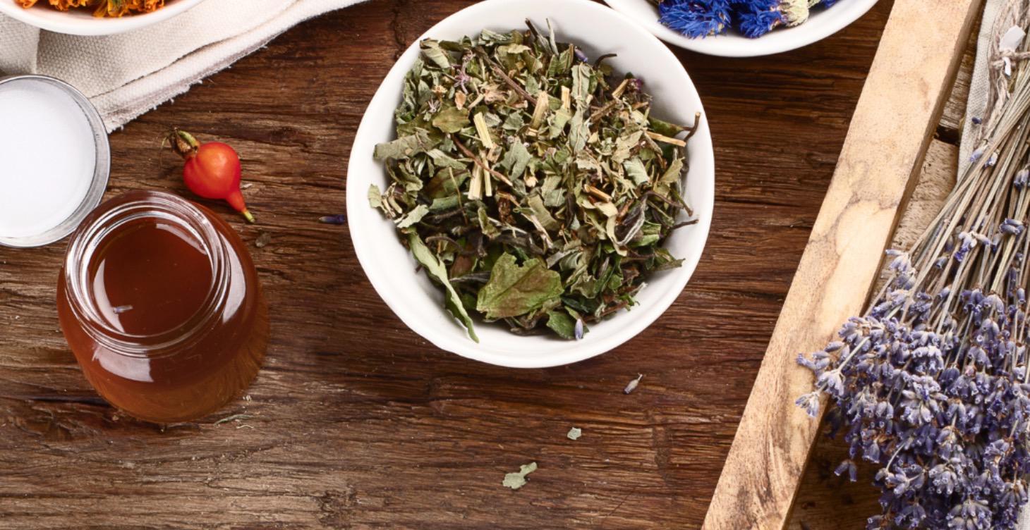 Holistic Herbalism 101