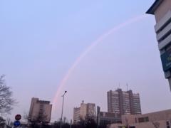 Fanni Pályi-Nyitrai