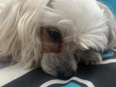 Sylver L.Sharp Sharp