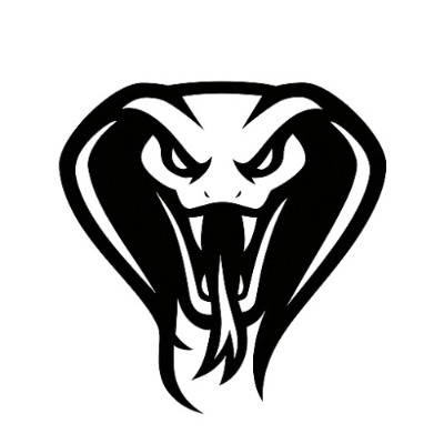 Kobrax Vizion