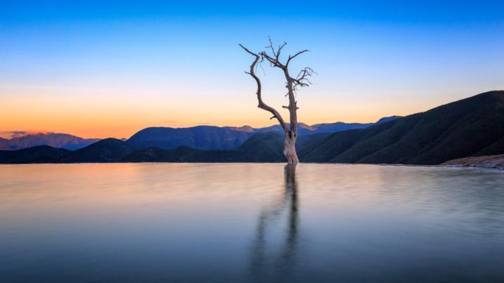 Steve Barbour