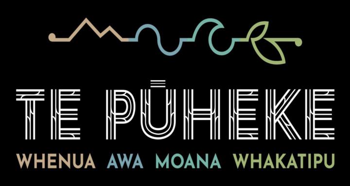 Te Pūheke education