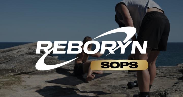 Reboryn Sop & Operations Hub