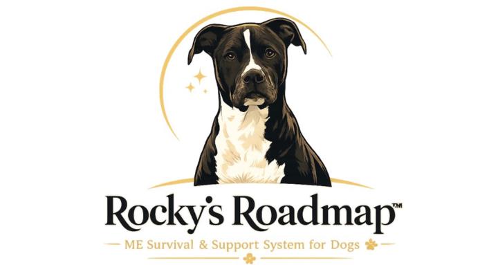 Rocky's Roadmap