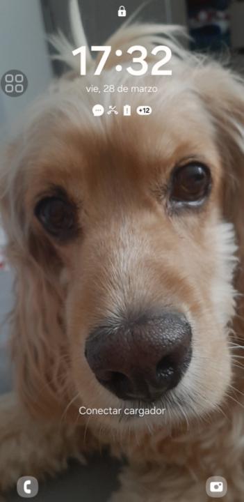 Fredy Villamil burgos