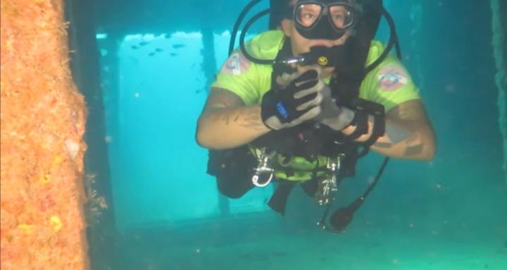 Scuba diving / free diving pro