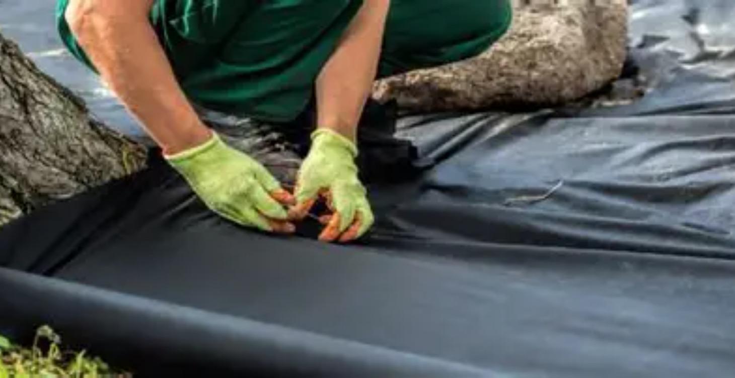Weed Fabric Training