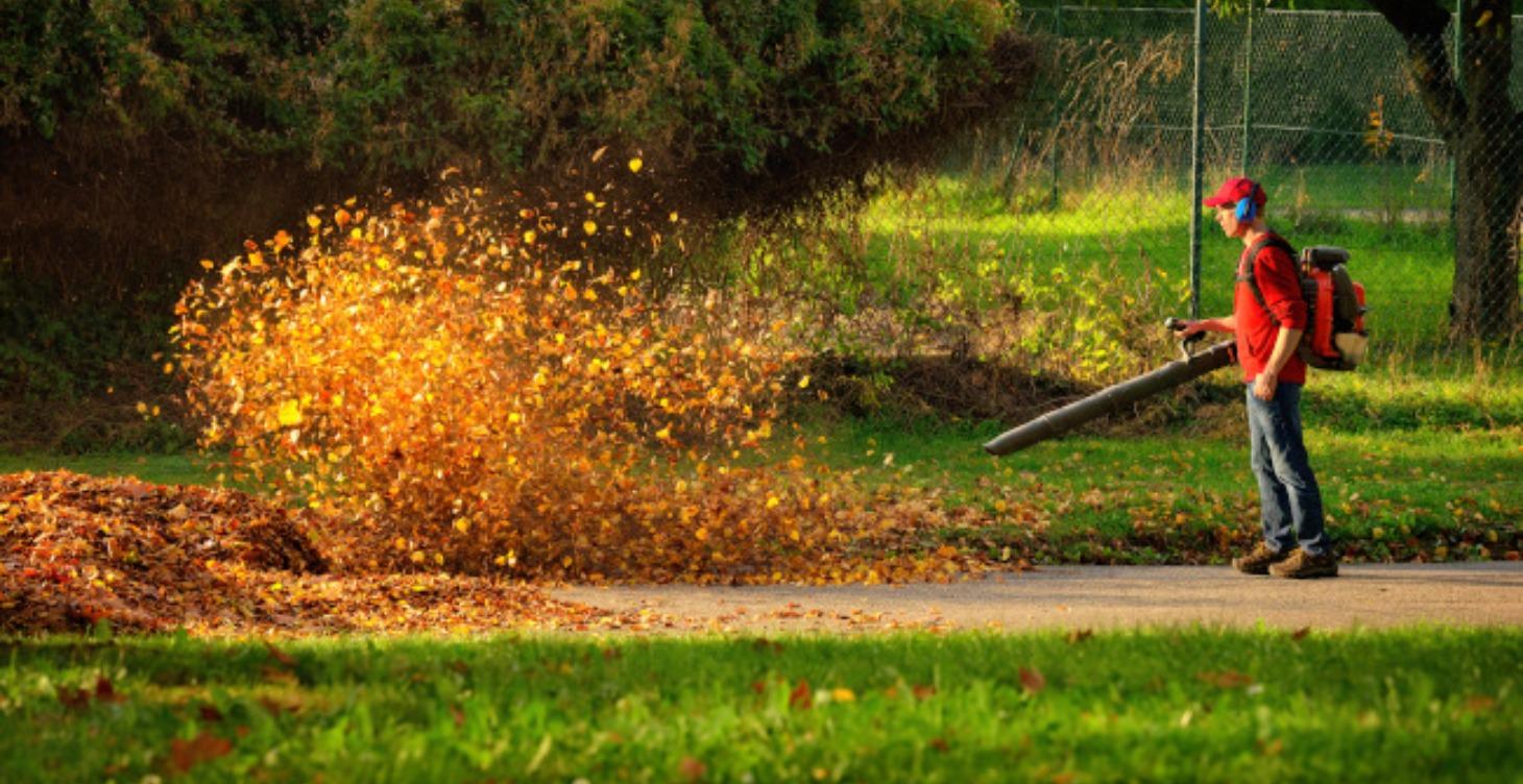 Leaf Cleanup Training