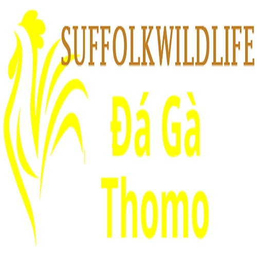 Daga Suffolk