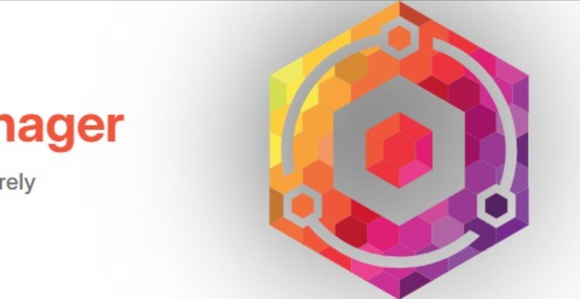Nginx proxy manager como proxy inverso para Odoo