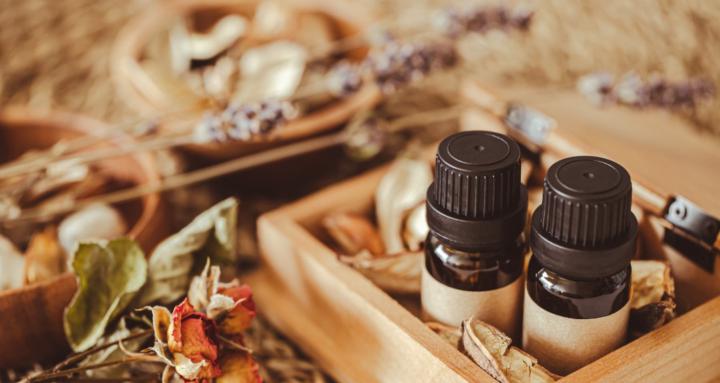 Wild Hollow Essentials