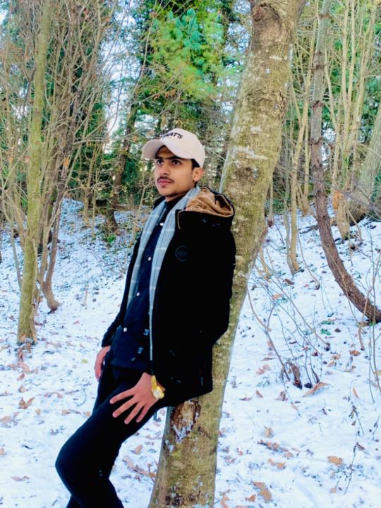 Muhammad Anees