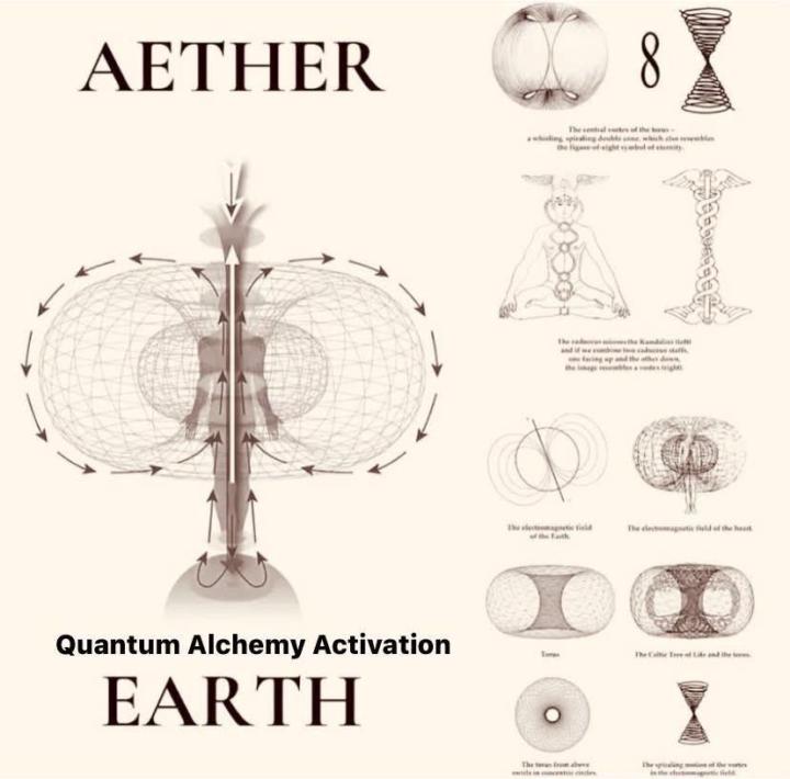 Torus Fields: The Nature of Plasma and Energy