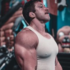Maximilian Wessell
