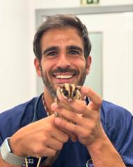 André Santos