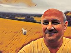 Robin Campbell