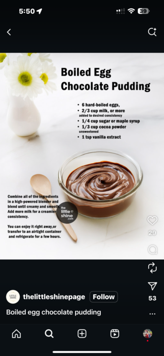 High Protein Pudding