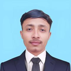 Md Safiullah Safi