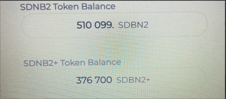 SDBN2 AKCIÓ ÁTRUHÁZÁS