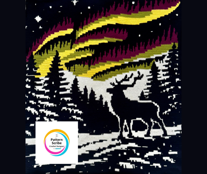 Which Would You Choose?