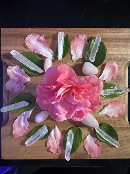 Spring Flower and Crystal Mandalas