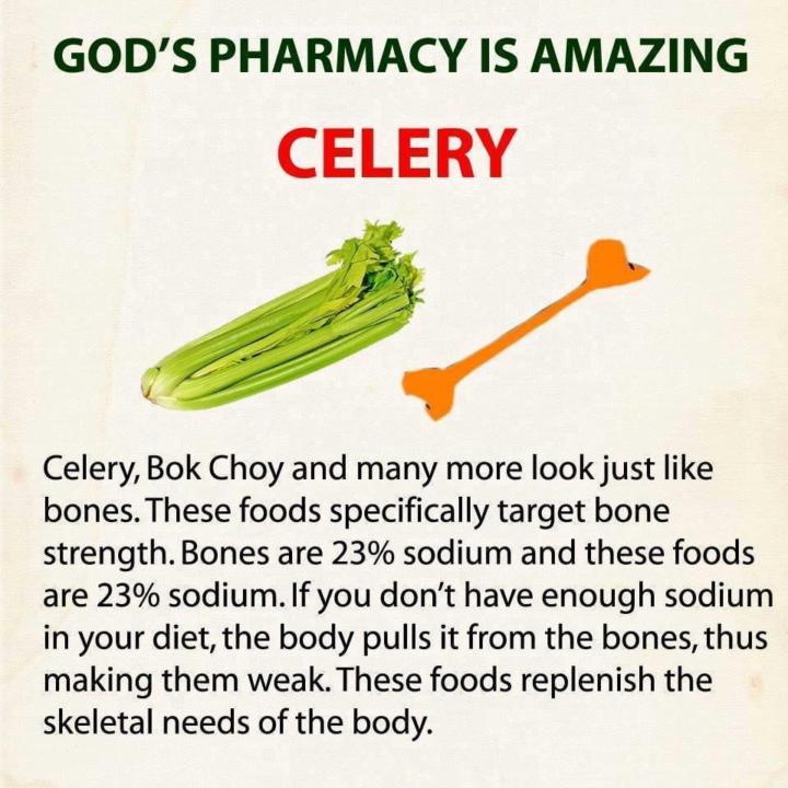 GOD’s pharmacy