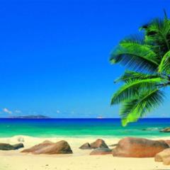 Sandra Rengifo Quintero