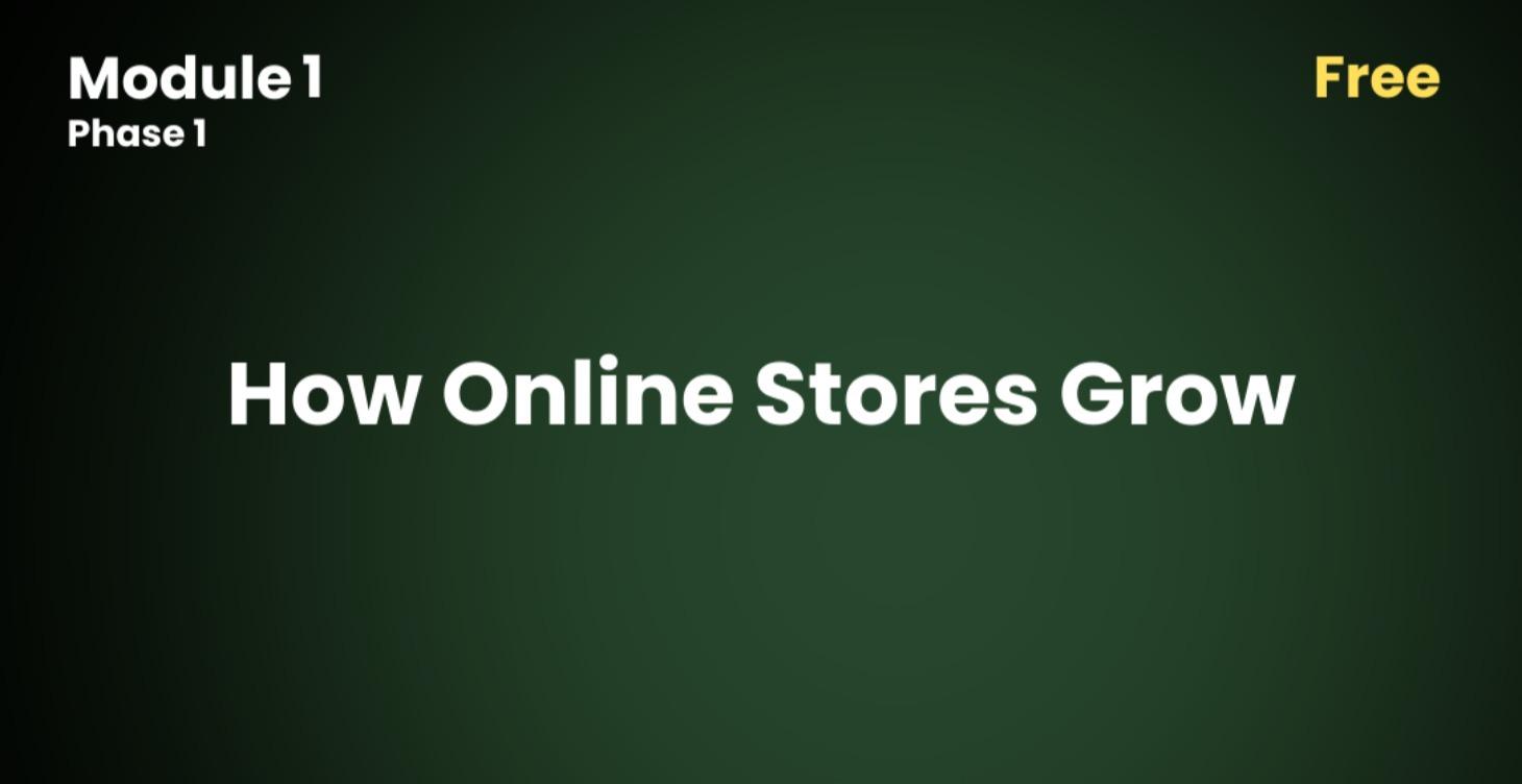 1.0 How Online Stores Grow