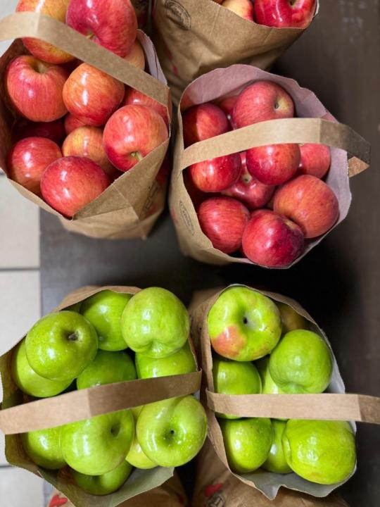 Valentina Bartolomei