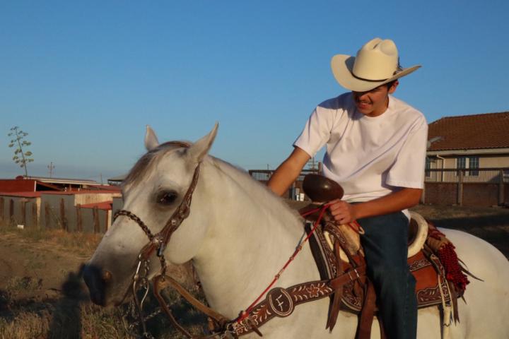 Fernando Melendrez Jr