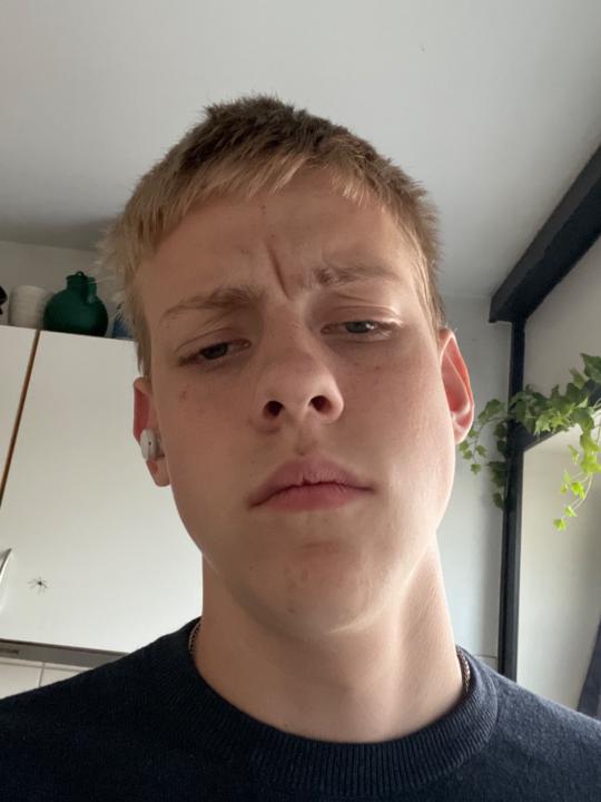 Bertram Roos