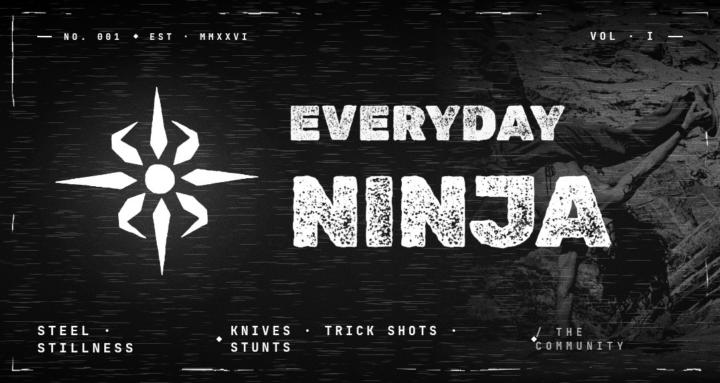 Everyday Ninja