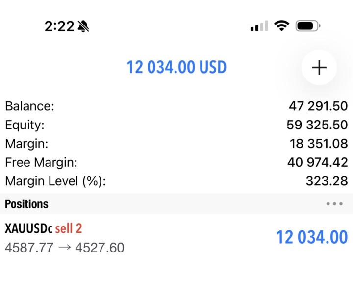 Gold +500 puntos 🪂