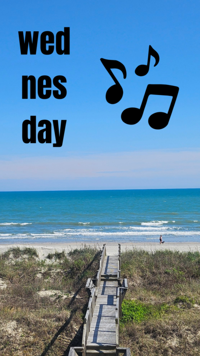 wednesday in nmb