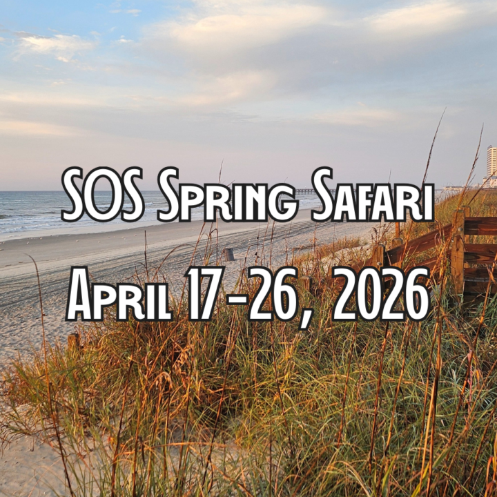 SOS Spring Safari Happenings in Ocean Drive