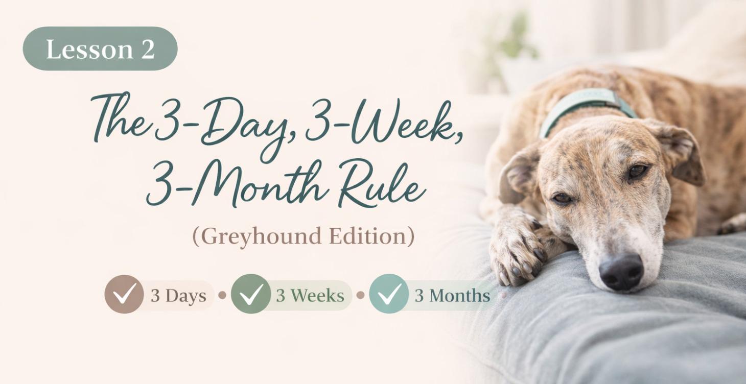 The 3-Day, 3-Week, 3-Month Rule