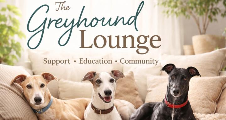 The Greyhound Lounge 