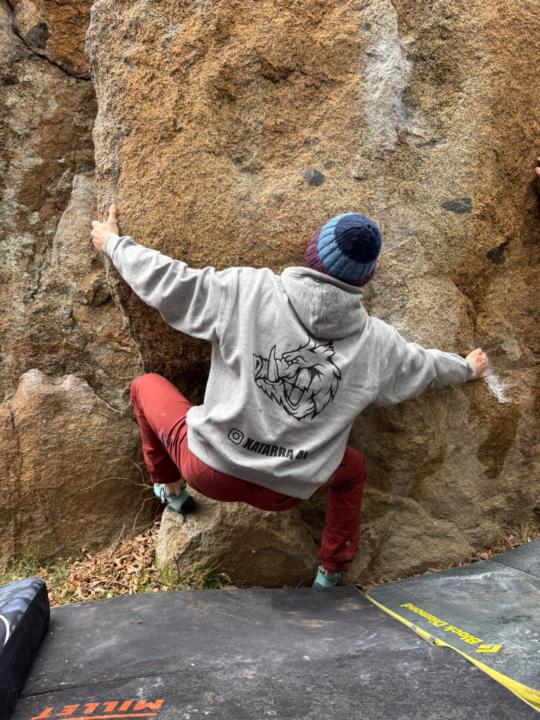 Guillem Punti