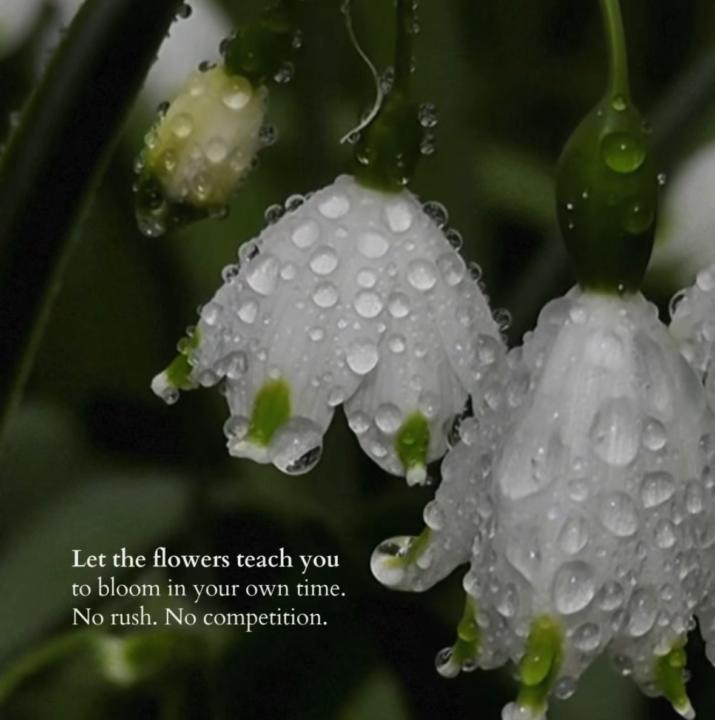 Nature Heals Us